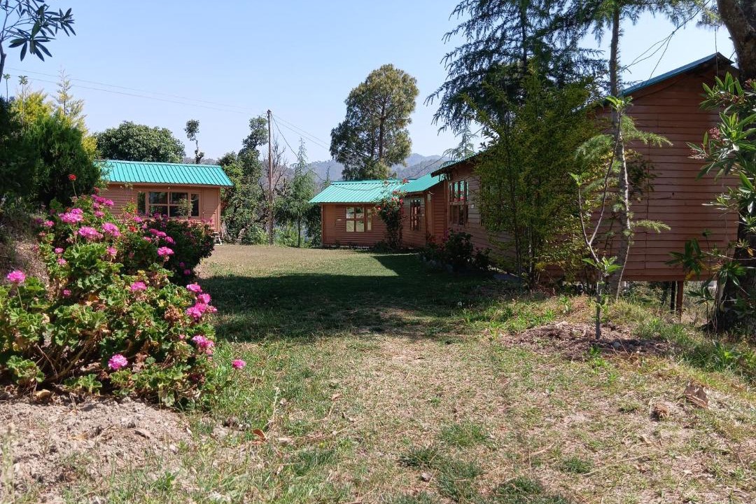 Photo of Others in Chail