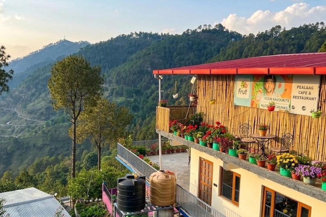 Photo of Others in Almora