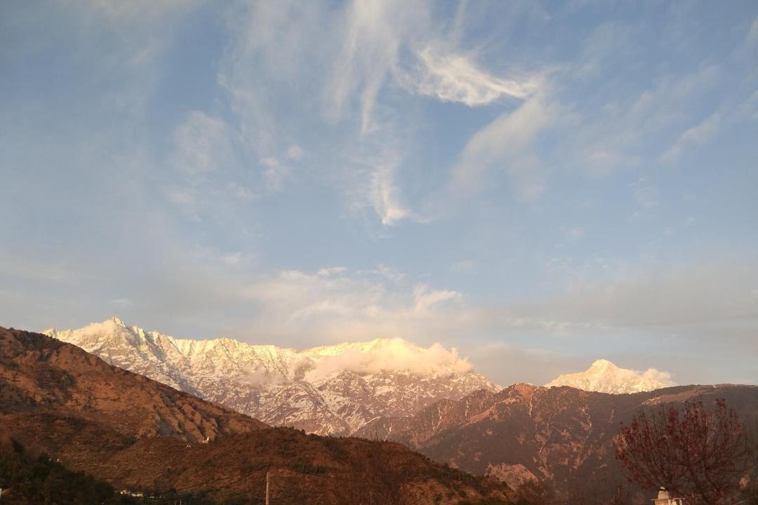 Photo of Others in Dharamshala