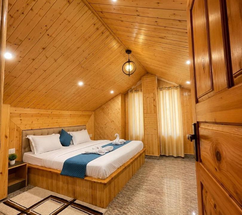 Photo of Others in Manali