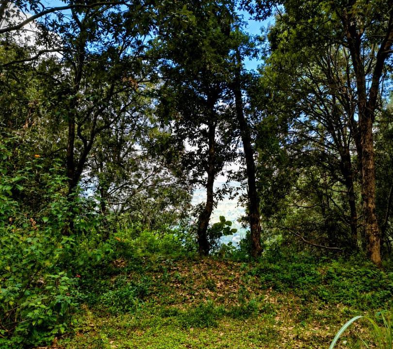 Photo of Others in Bhimtal