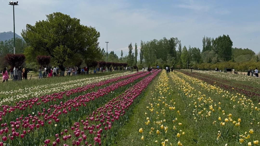 Photo of Others in Dal Lake
