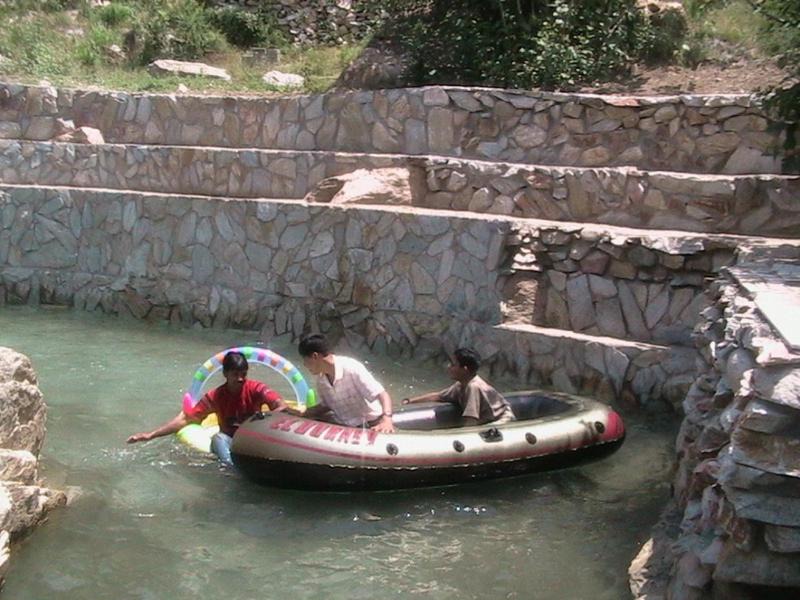 Photo of Others in Shamshi