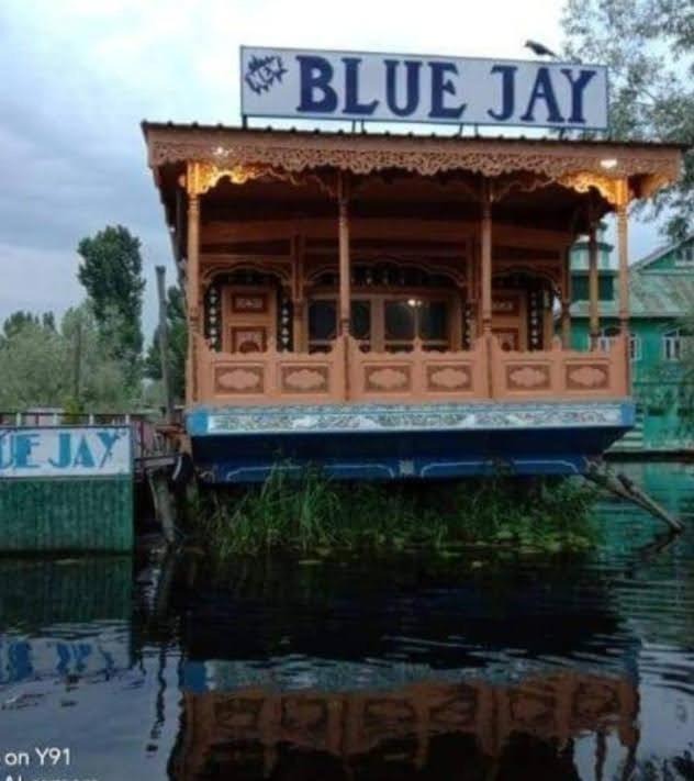 Photo of Others in Dal Lake