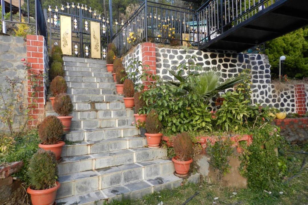 Photo of Others in Shimla