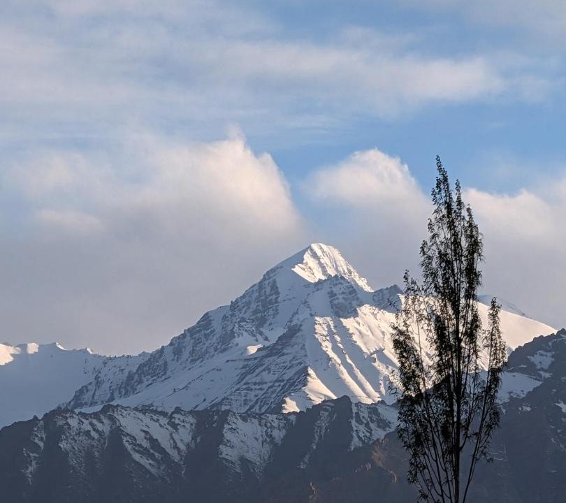 Photo of Others in Leh