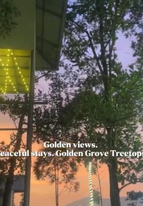Photo of Others in Udumbanchola