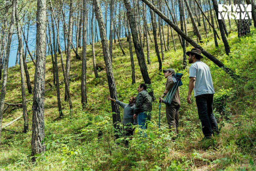 Photo of Others in Solan