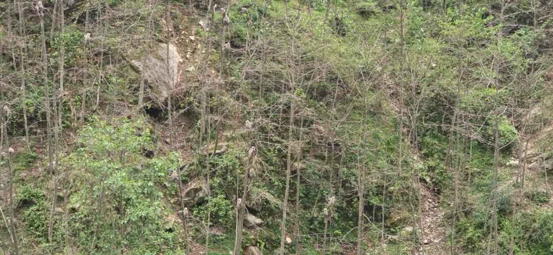 Photo of Others in Gaurikund