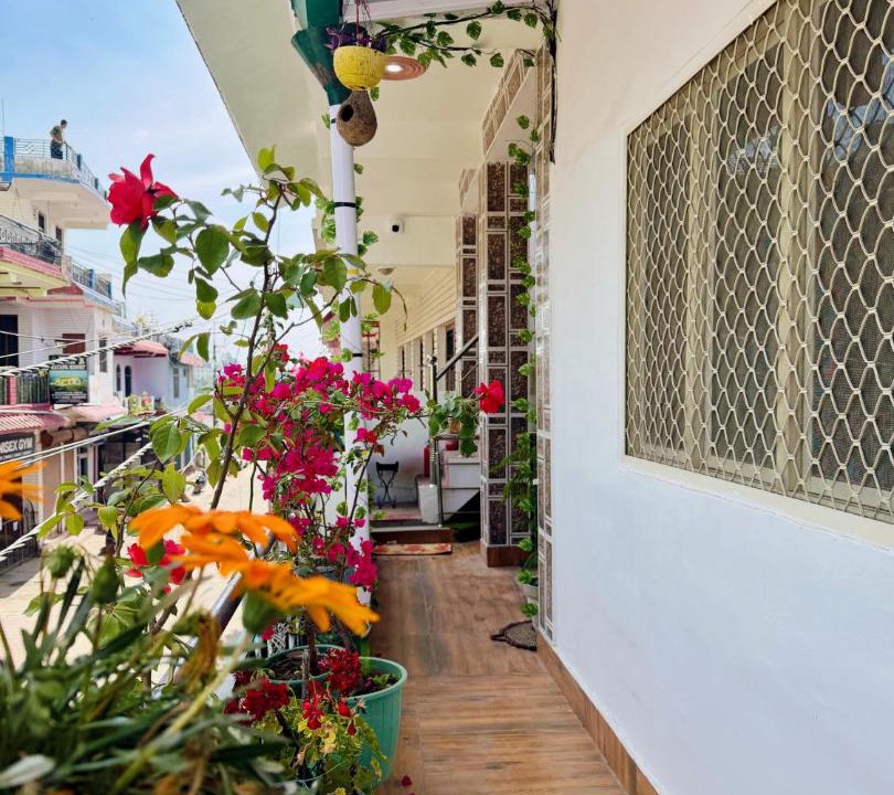 Photo of Patio Balcony in Ranikhet