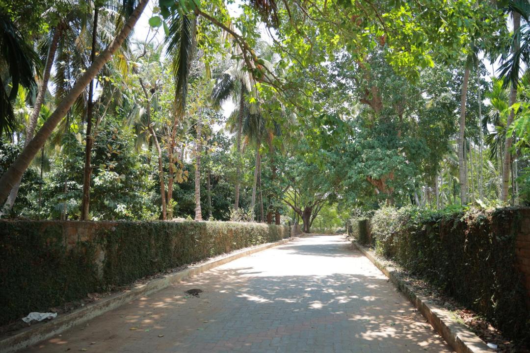 Photo of Others in Mettupalayam