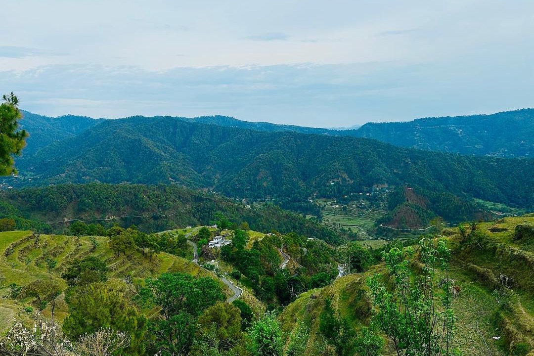 Photo of Others in Almora