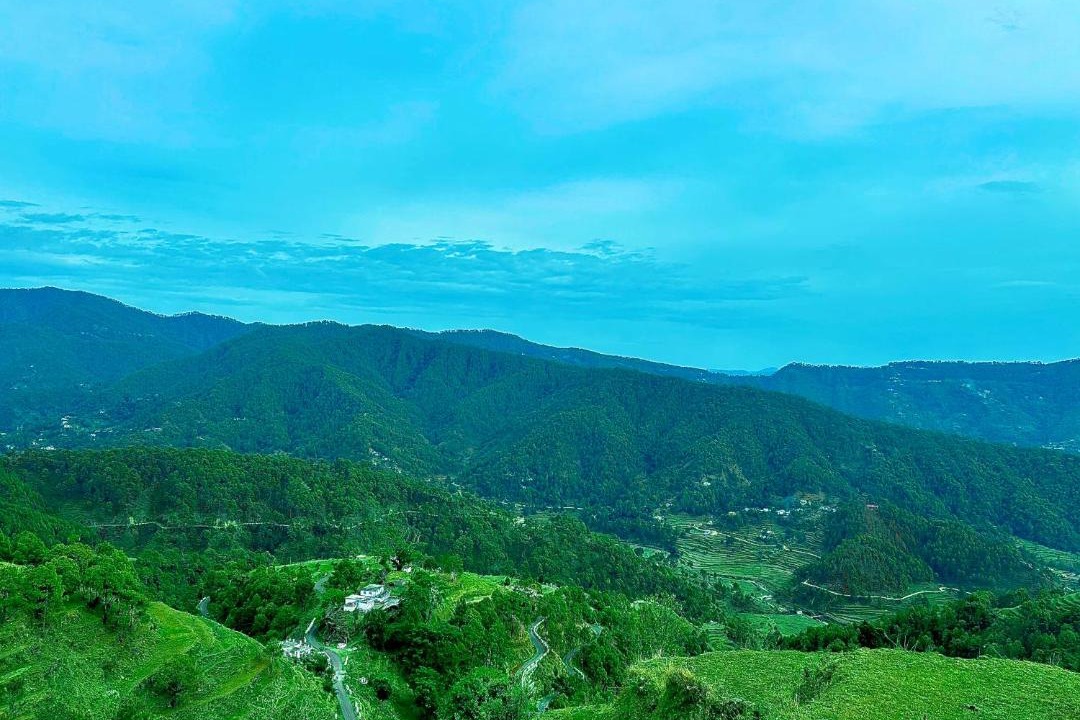 Photo of Others in Almora
