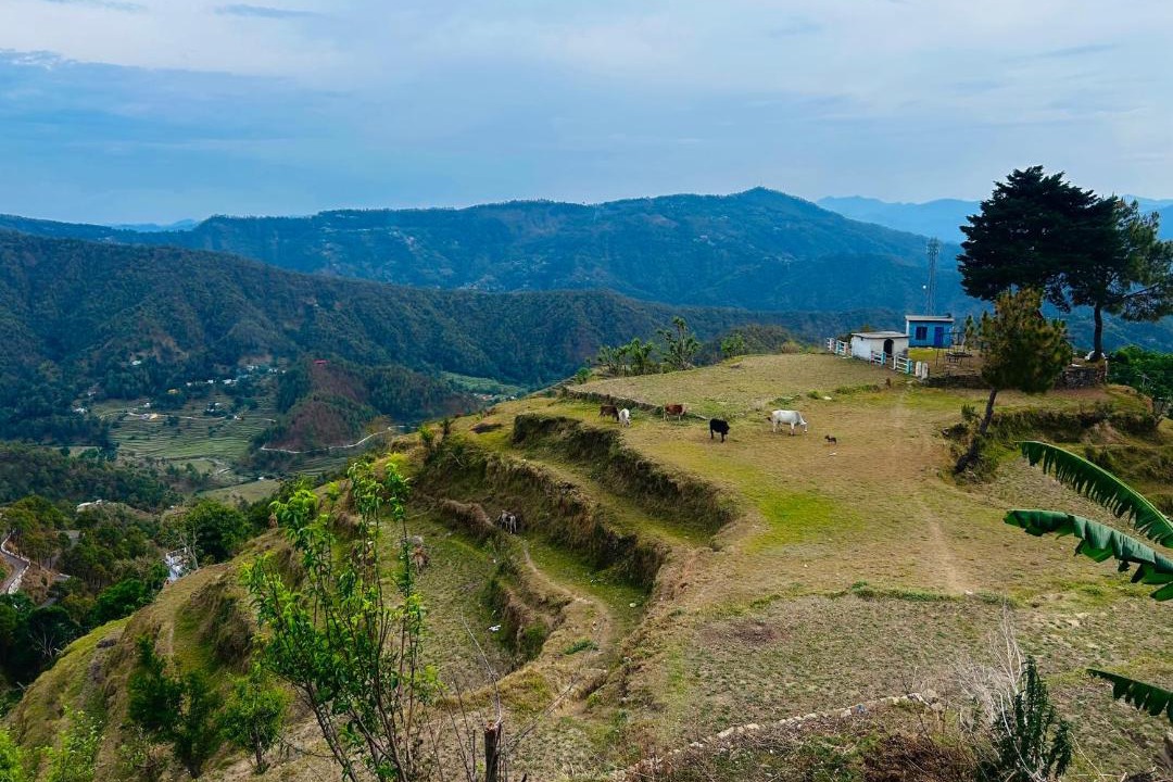 Photo of Others in Almora