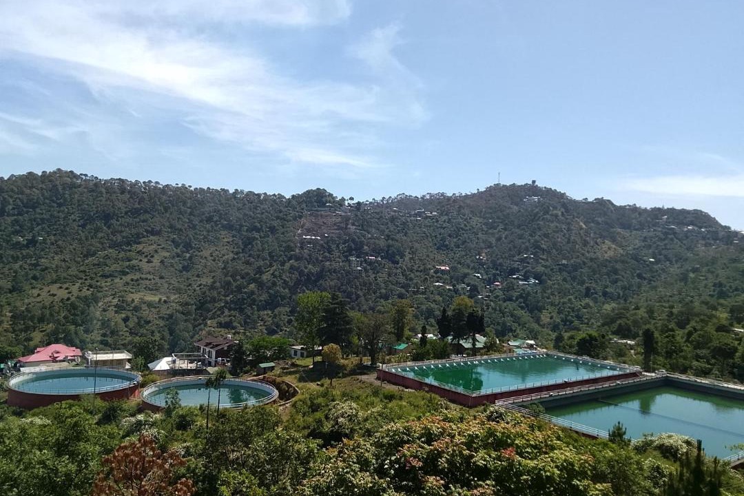 Photo of Others in Kasauli