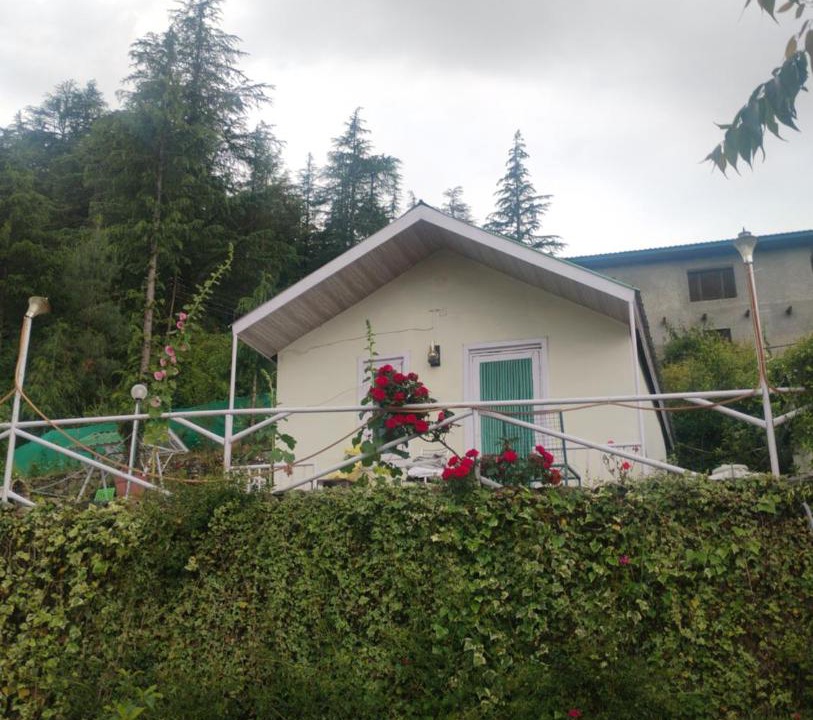 Photo of Others in Shimla