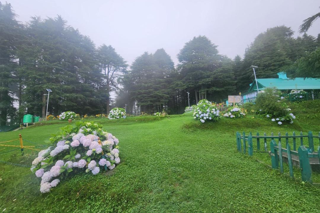 Photo of Others in Dalhousie