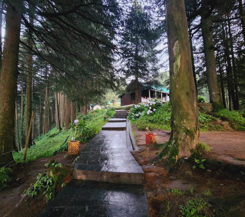 Photo of Others in Dalhousie