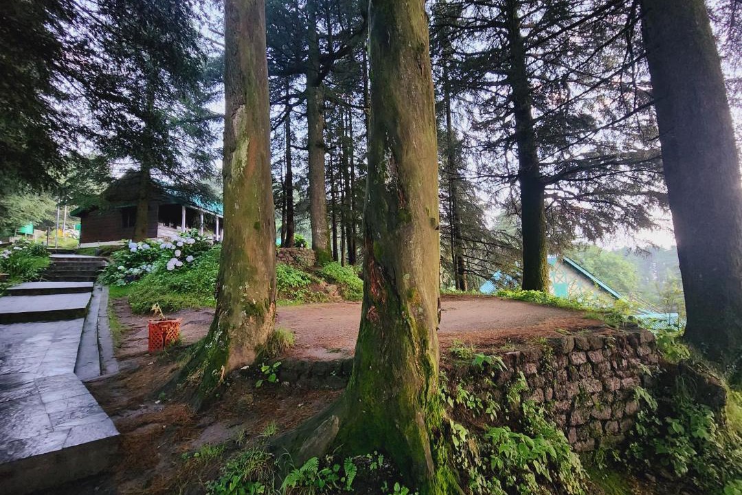 Photo of Others in Dalhousie