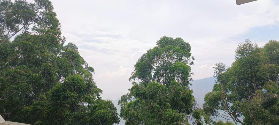 Photo of Others in Kodaikanal