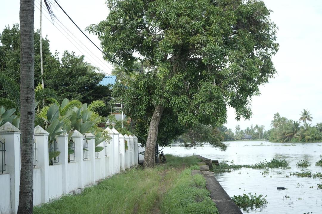 Photo of Others in Champakulam