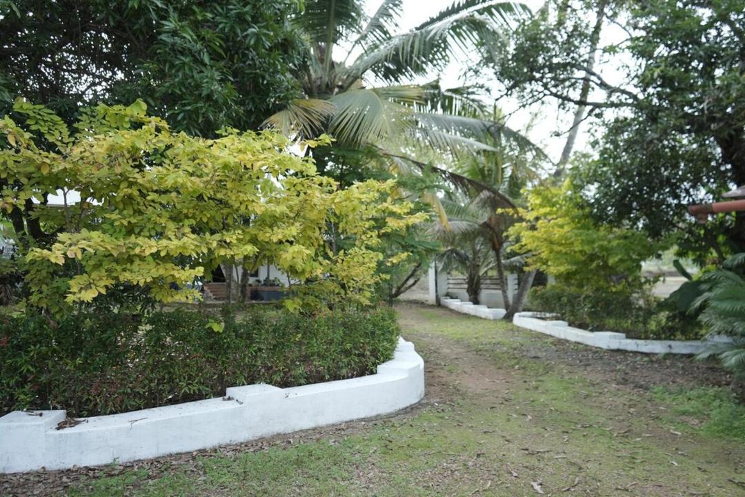 Photo of Others in Champakulam