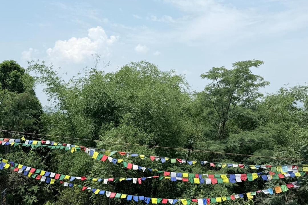 Photo of Others in Sarkaghat