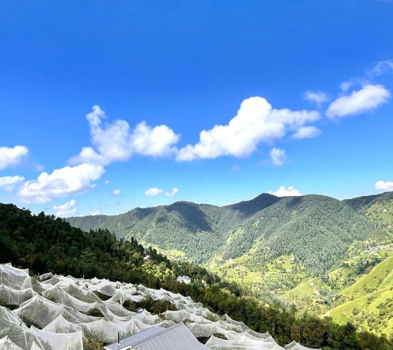 Photo of Others in Shilon Bagh