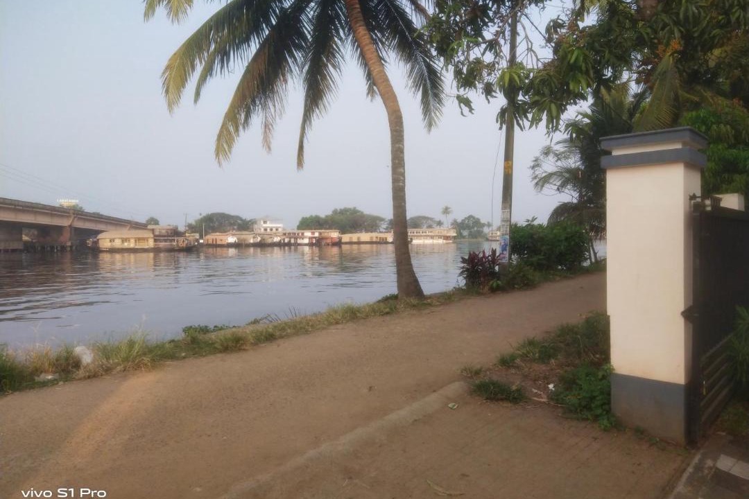 Photo of Others in Nedumudy