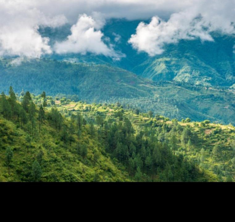 Photo of Others in Nainital