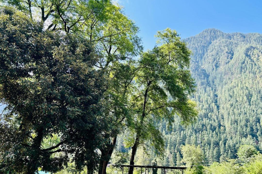 Photo of Others in Kasol
