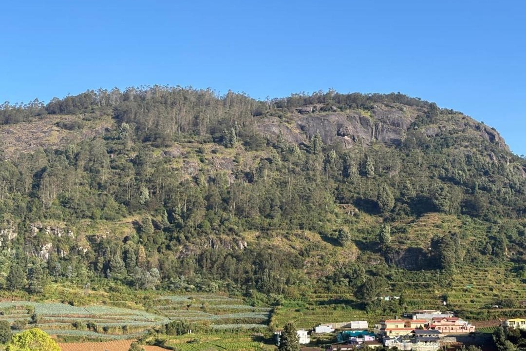 Photo of Others in Ooty