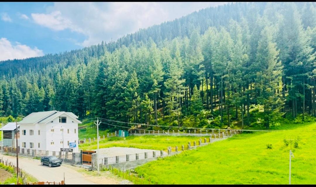 Photo of Others in Gulmarg