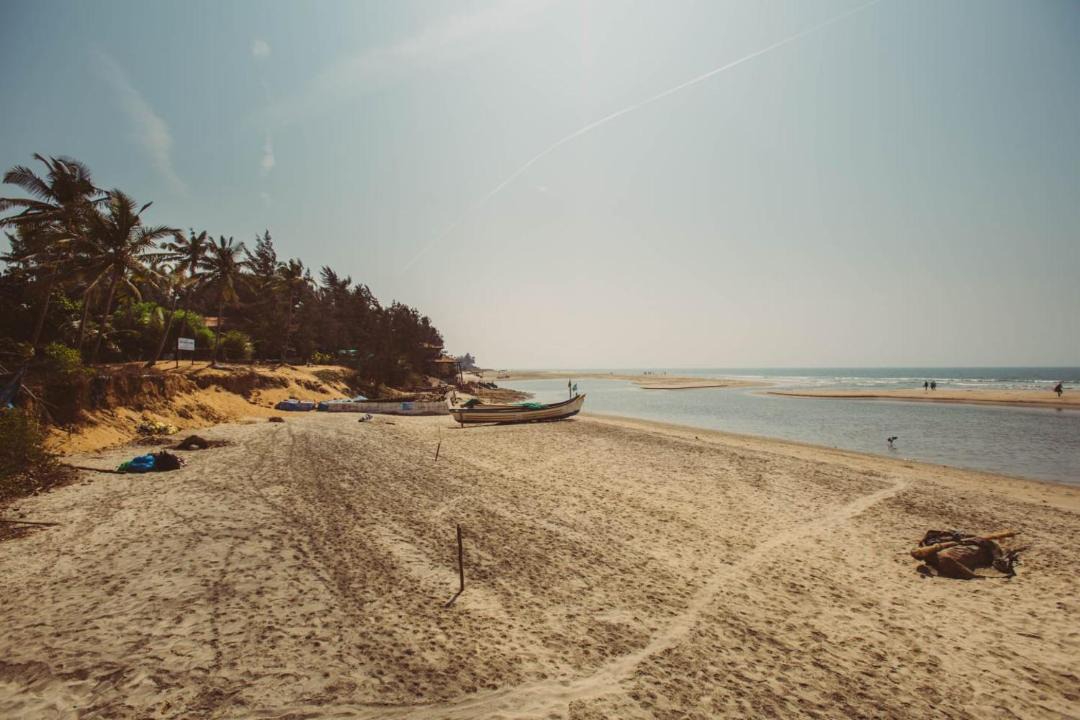 Photo of Others in Mandrem