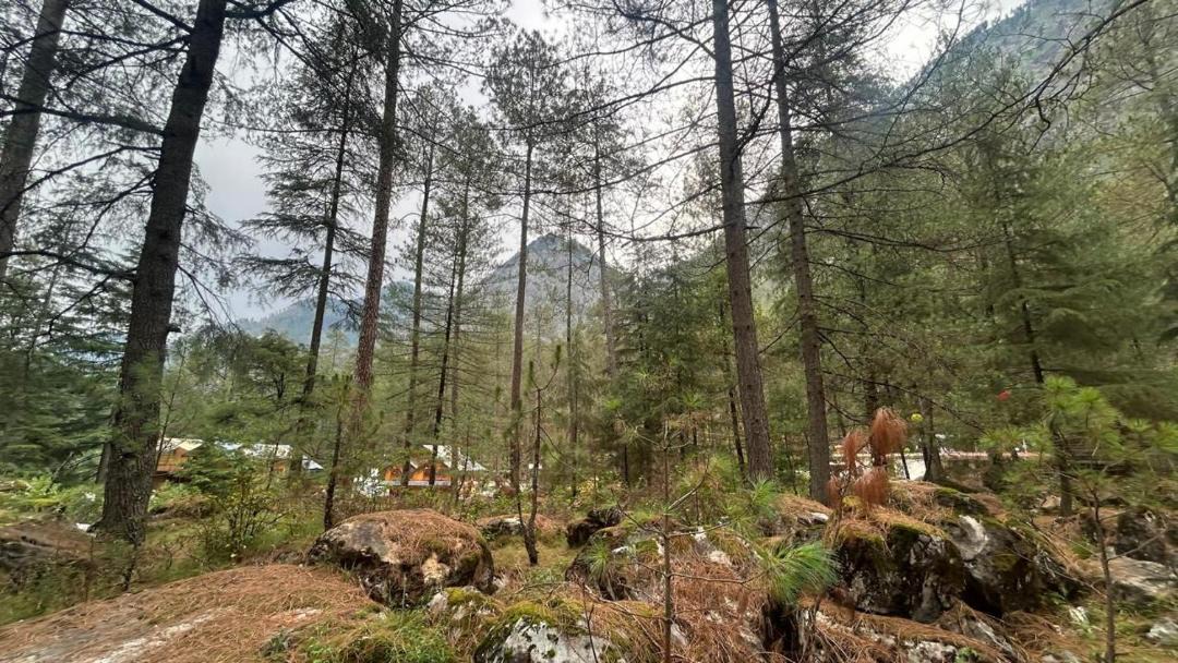 Photo of Others in Kasol