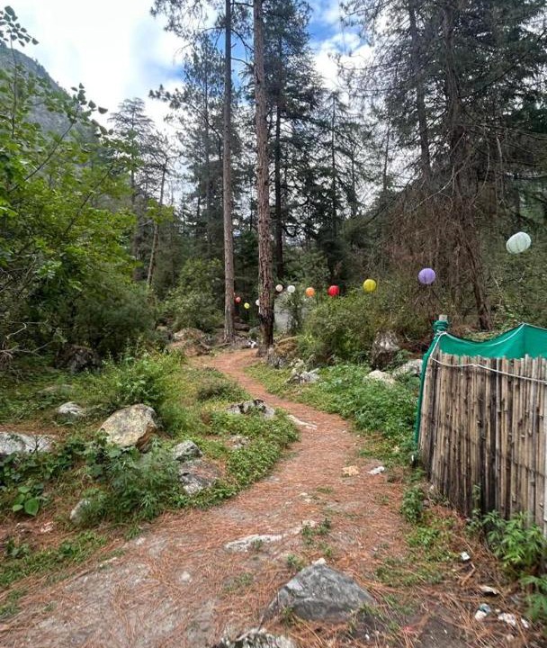 Photo of Outdoor in Kasol