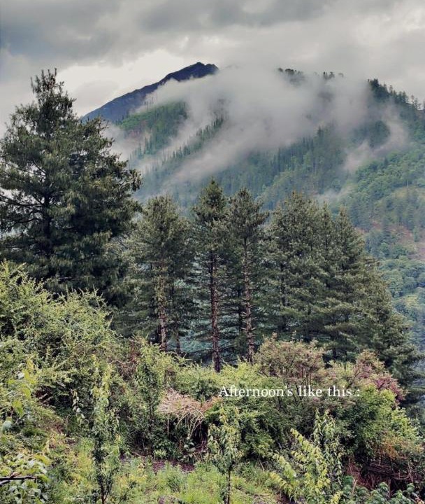 Photo of Others in Kullu
