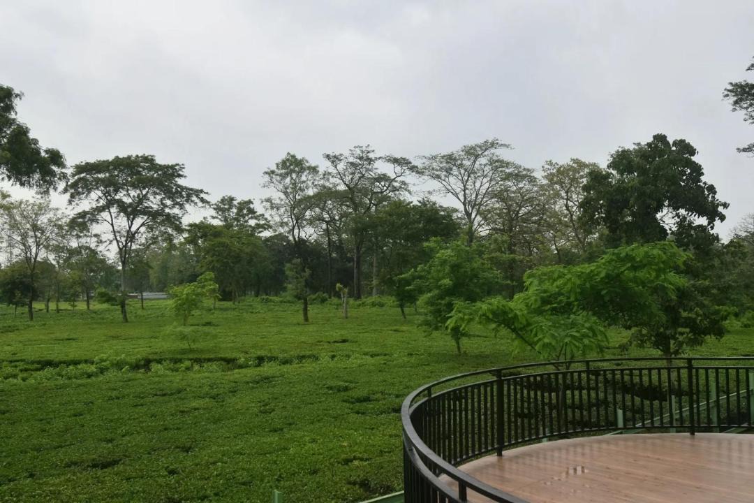 Photo of Others in Alipurduar