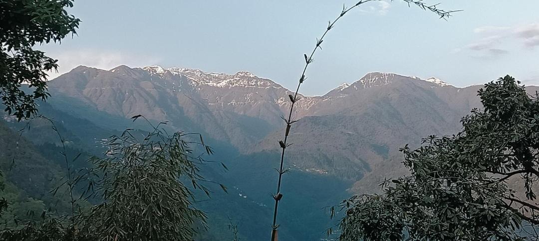 Photo of Others in Gangtok