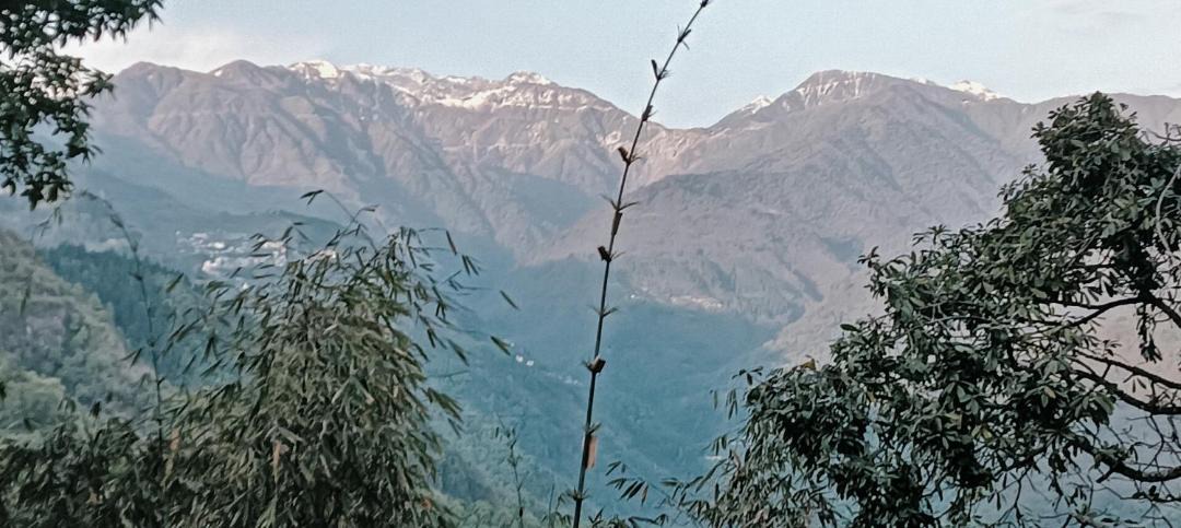Photo of Others in Gangtok