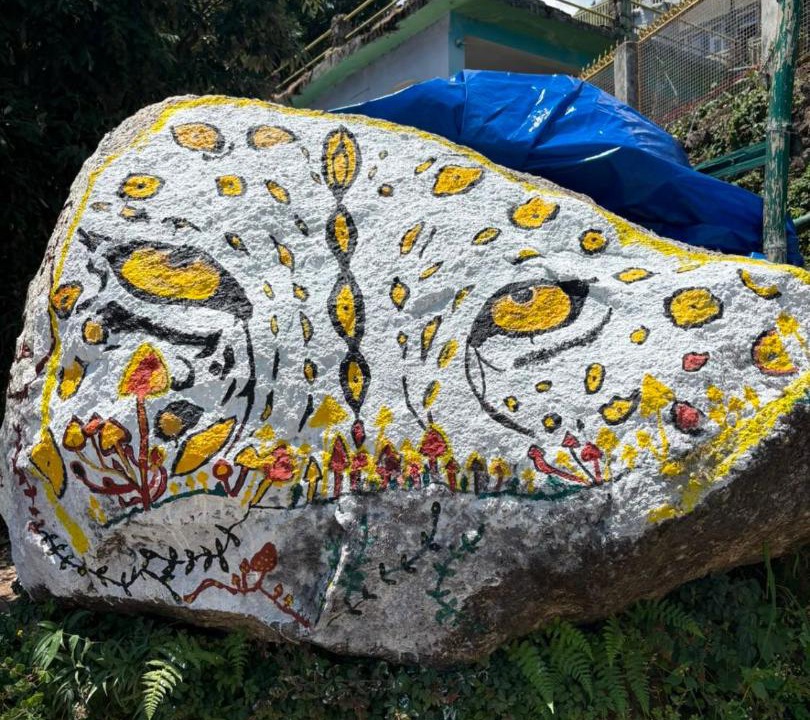 Photo of Others in Dharamshala
