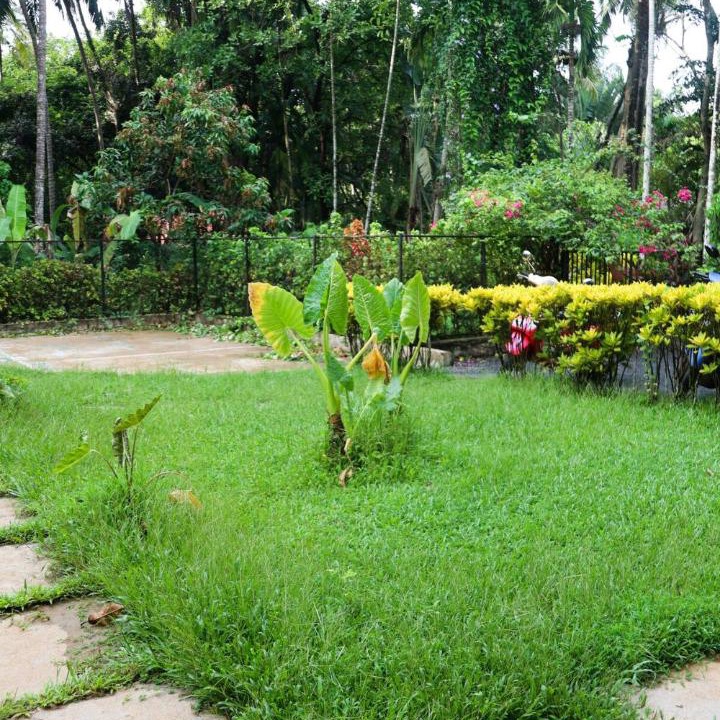 Photo of Others in Assagao