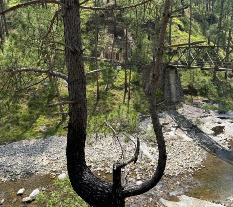 Photo of Others in Almora
