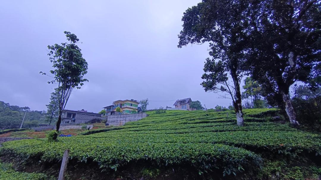Photo of Others in Elappara