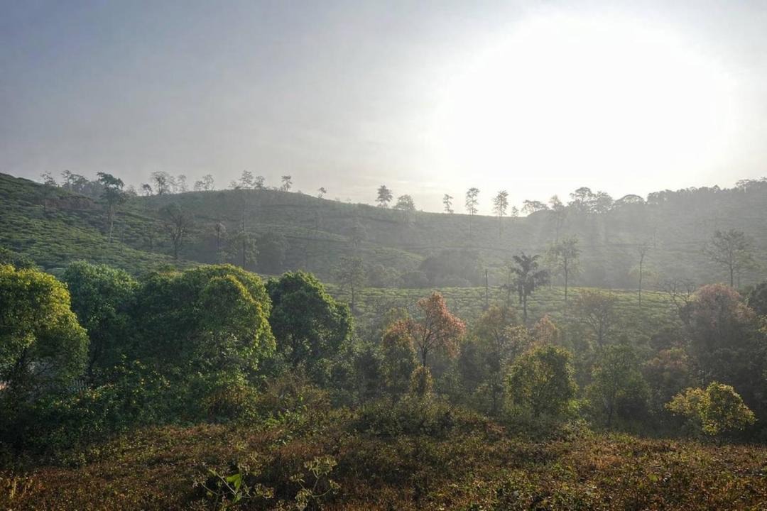 Photo of Others in Elappara