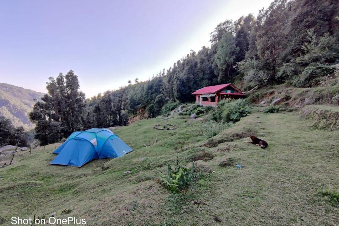 Photo of Others in Dharamshala