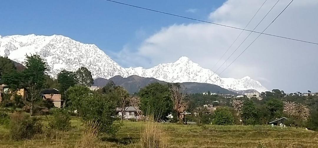 Photo of Others in Dharamshala