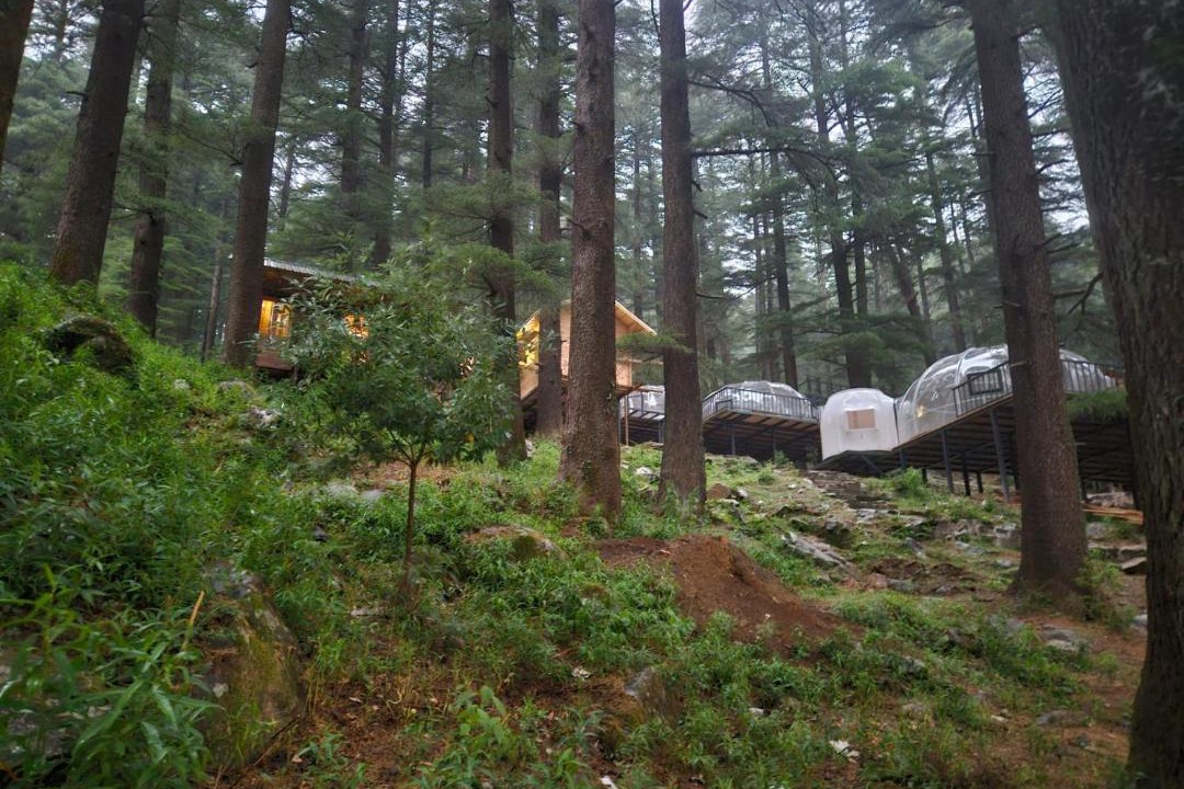 Photo of Others in Dharamkot