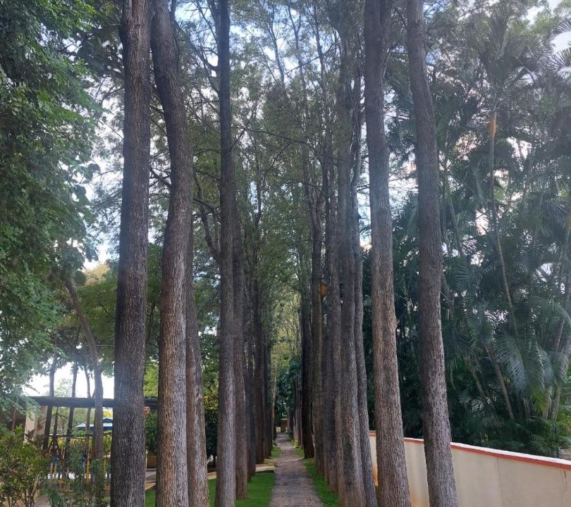 Photo of Outdoor in Nelamangala