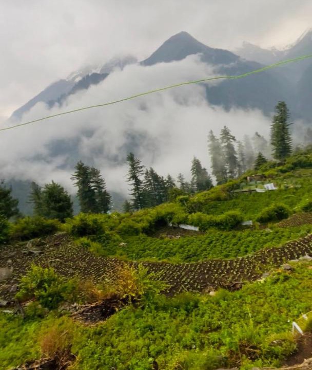 Photo of Others in Kullu